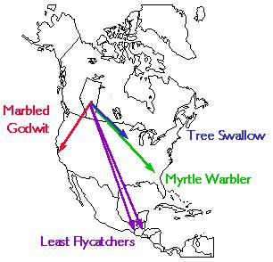 Map of Migration Paths