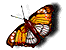 Animated Butterfly
