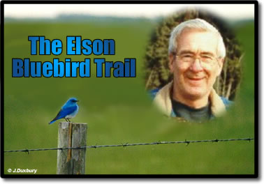 Elson and his Bluebird