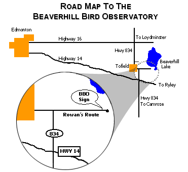 Road map to BBO