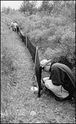 Tyler & Chuck Checking Rana Traps